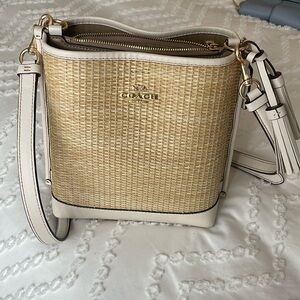 Mollie Bucket Bag 22 In Straw